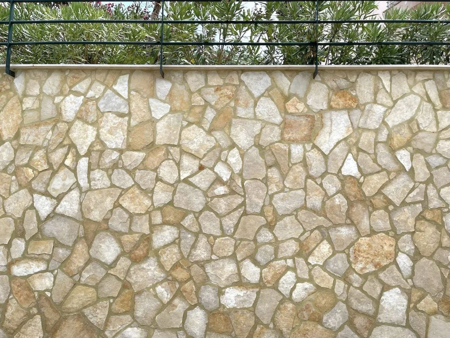 Trani limestone / Antiqua